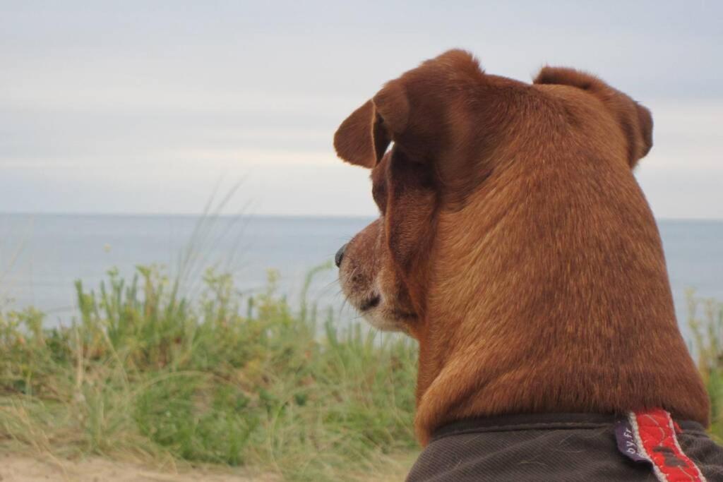 Vue Panoramique Lägenhet Courseulles-sur-Mer Exteriör bild